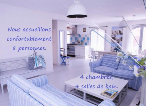 Les galets bleus de Calvi